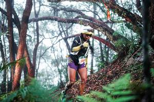 BIB: 
                            <button type="button" onclick="openModal(26295195)" class="btn btn-primary btn-sm float-right btn-popup" data-toggle="modal" data-target=".modal-high-quality">
                        <i class="fas fa-shopping-cart"></i> Add to Cart
                    </button>
                                            <button type="button" onclick="isThisMe(26295195, true)" class="btn btn-success btn-sm float-right btn-popup btn-isme hidden" data-toggle="tooltip" data-placement="bottom" title="นี่คือรูปของคุณใช่ไหม คลิกที่นี่เพื่อเอาเข้าอัลบั้ม">
                        <i class="fas fa-plus"></i> Add to album
                    </button>
                    <button type="button" onclick="isThisMe(26295195, false)" class="btn btn-warning btn-sm float-right btn-popup btn-isnotme hidden">
                        <i class="fas fa-ban"></i> Remove from album
                    </button>